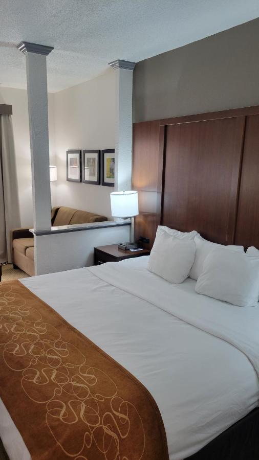 Comfort Suites Cumming-Atlanta Near Northside Hospital Forsyth Exteriér fotografie