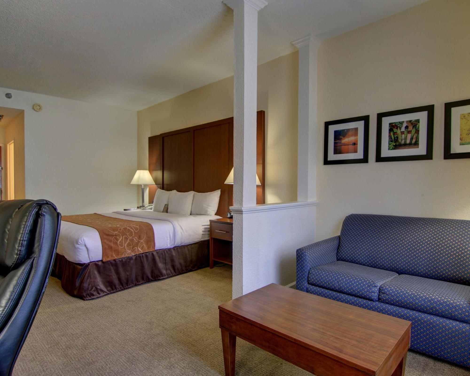 Comfort Suites Cumming-Atlanta Near Northside Hospital Forsyth Pokoj fotografie